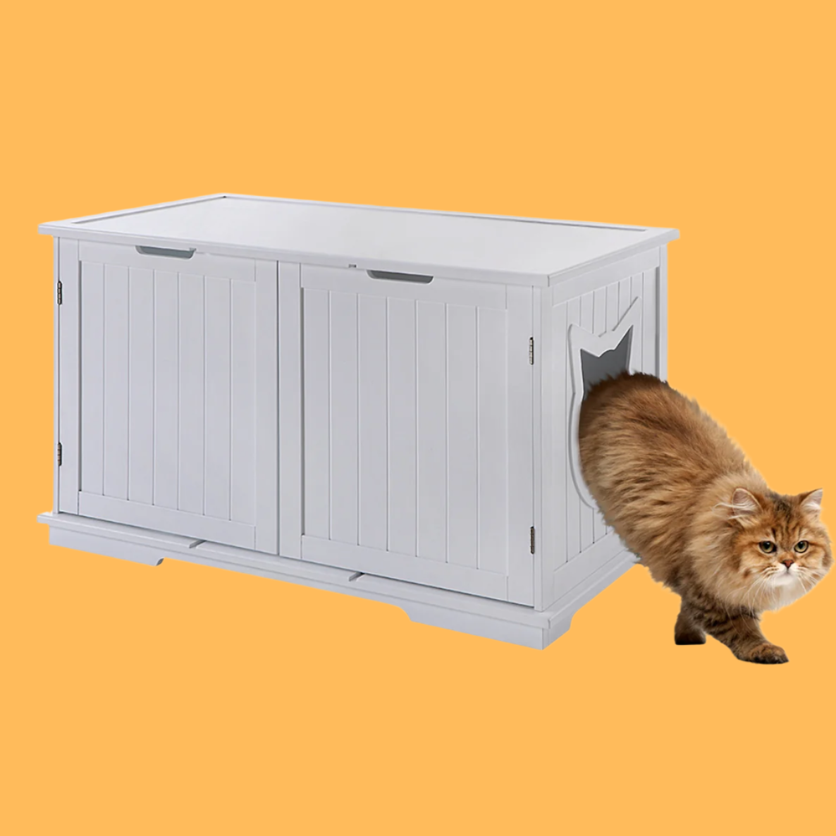 Dual Large Litter Box Enclosure Cat Washroom Bench Box!